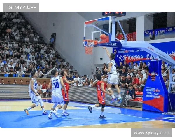 篮球热潮再度来袭探秘球场激情与团队拼搏背后的力量