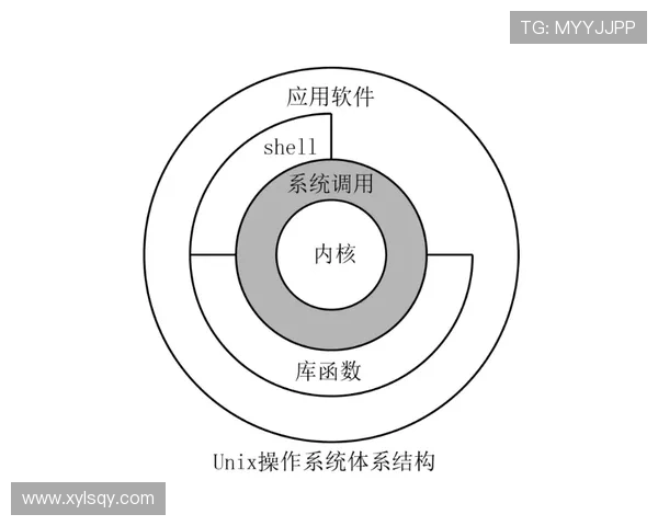 解析网球：从技战术到赛事规则详解