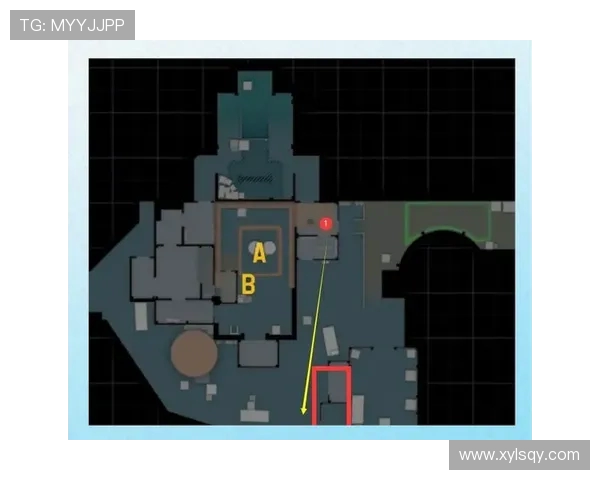 CSGO战术解析：深入探讨IG战队的防守策略与应对技巧