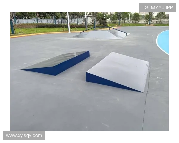 南京极限运动嘉年华滑板队精彩表现回顾与状态分析