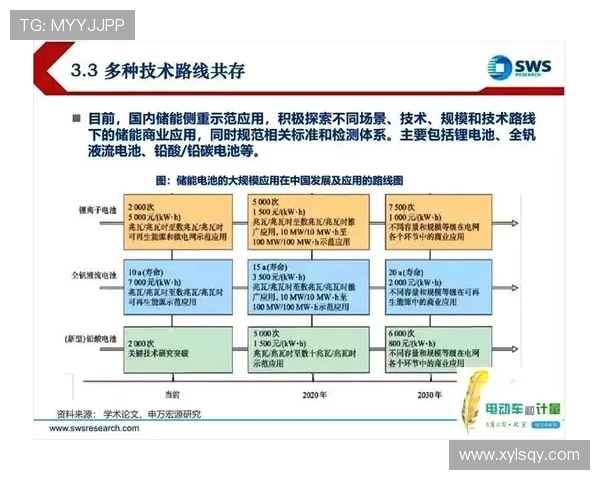 南京飞盘队状态分析与未来发展展望探讨