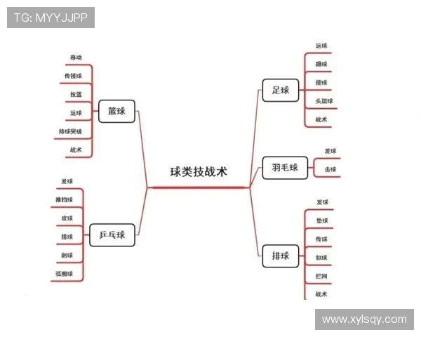 武汉排球队的灵活性探讨与战术创新分析