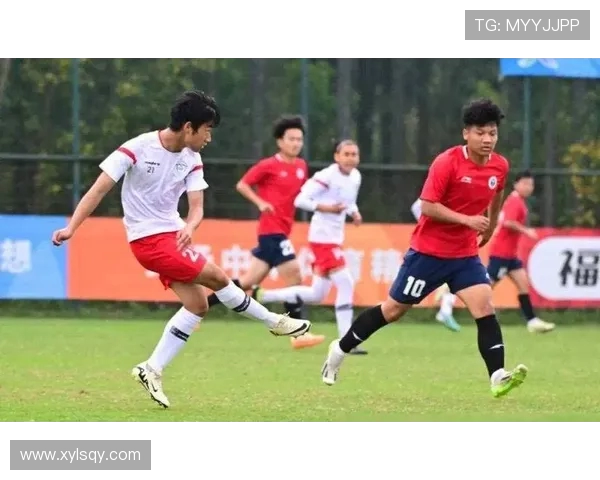 U19马其顿与黑山激战正酣青年足球赛场上的青春对决